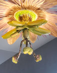 Passiflora Chandelier