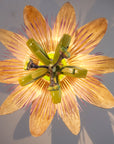 Passiflora Chandelier