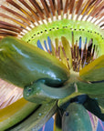 Passiflora Chandelier