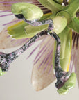 Passiflora Chandelier