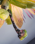 Passiflora Chandelier
