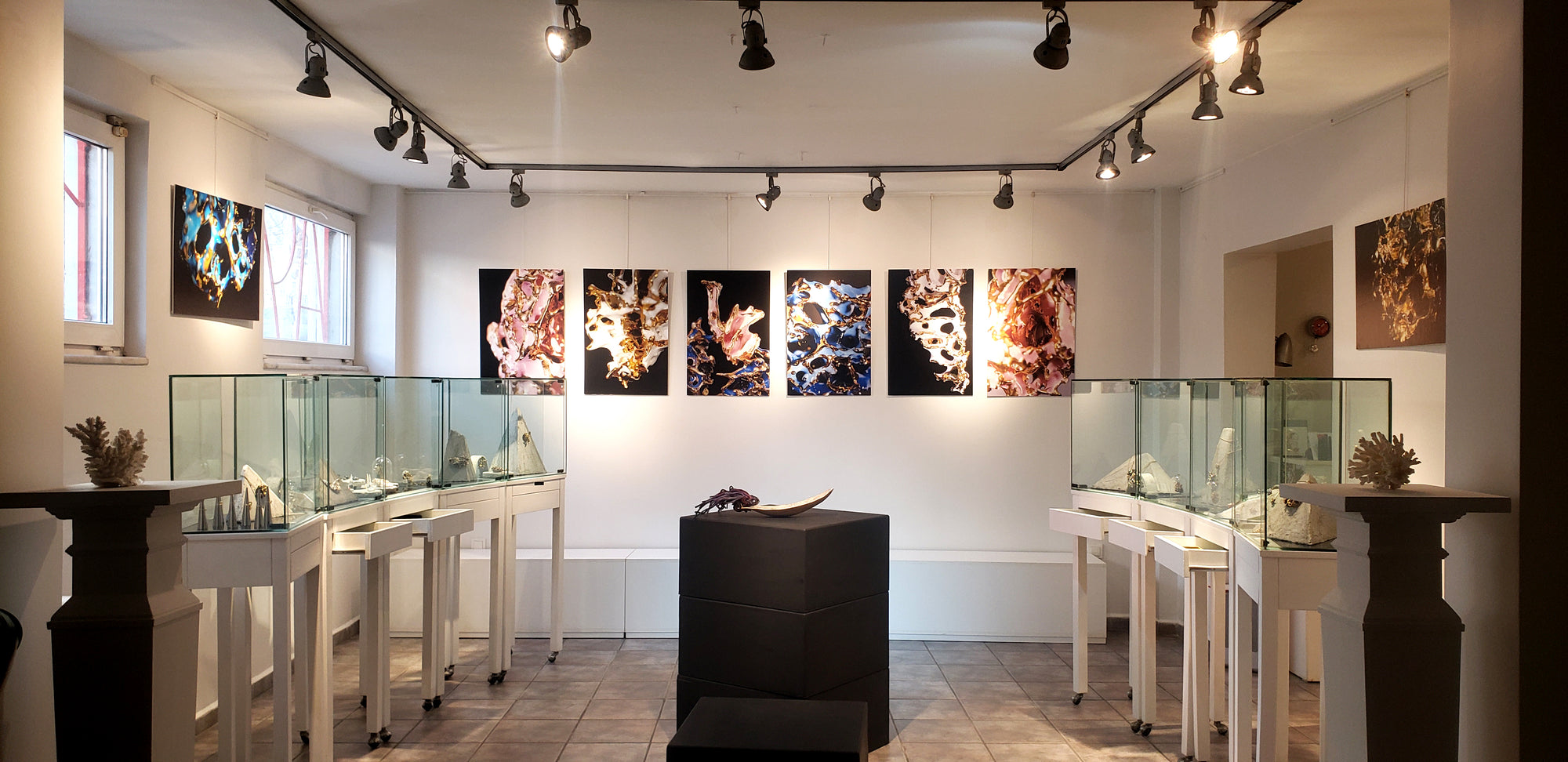 Collection Image