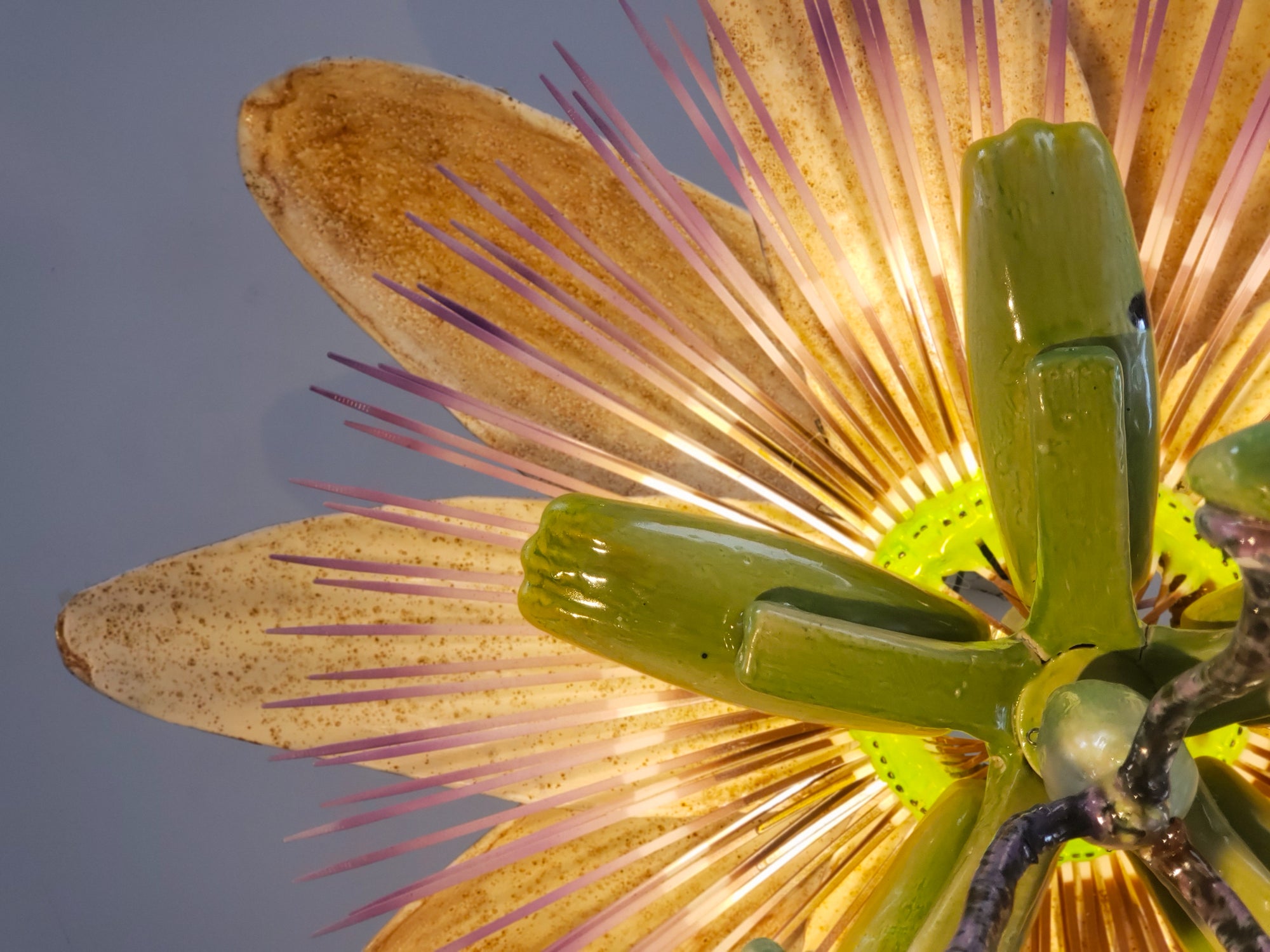 Passiflora Chandelier