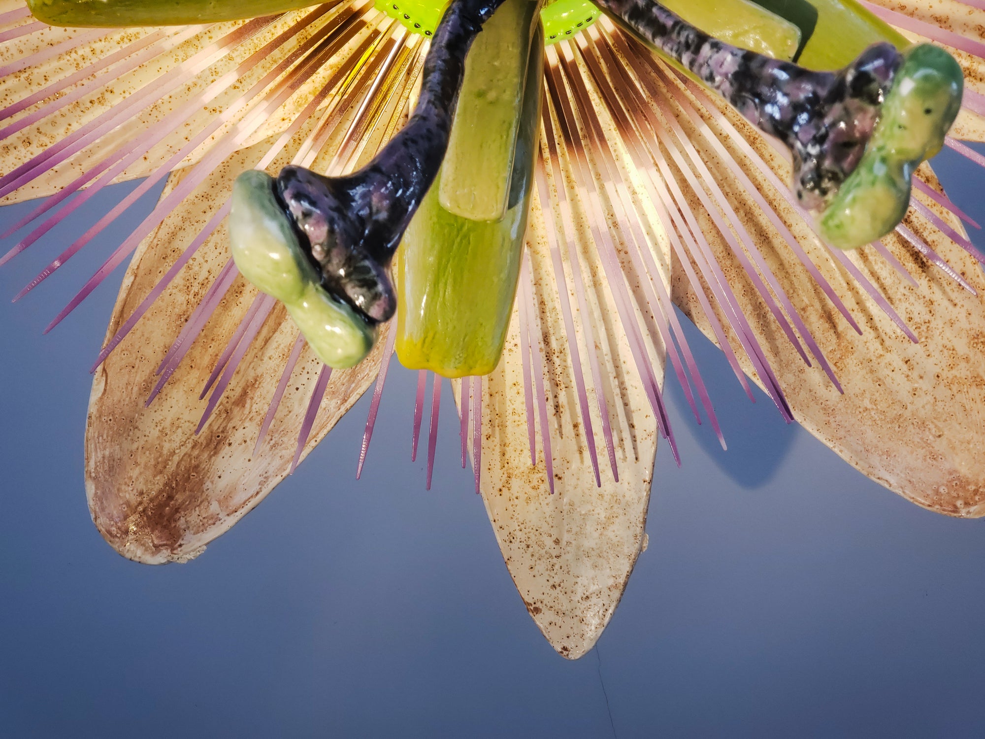 Passiflora Chandelier