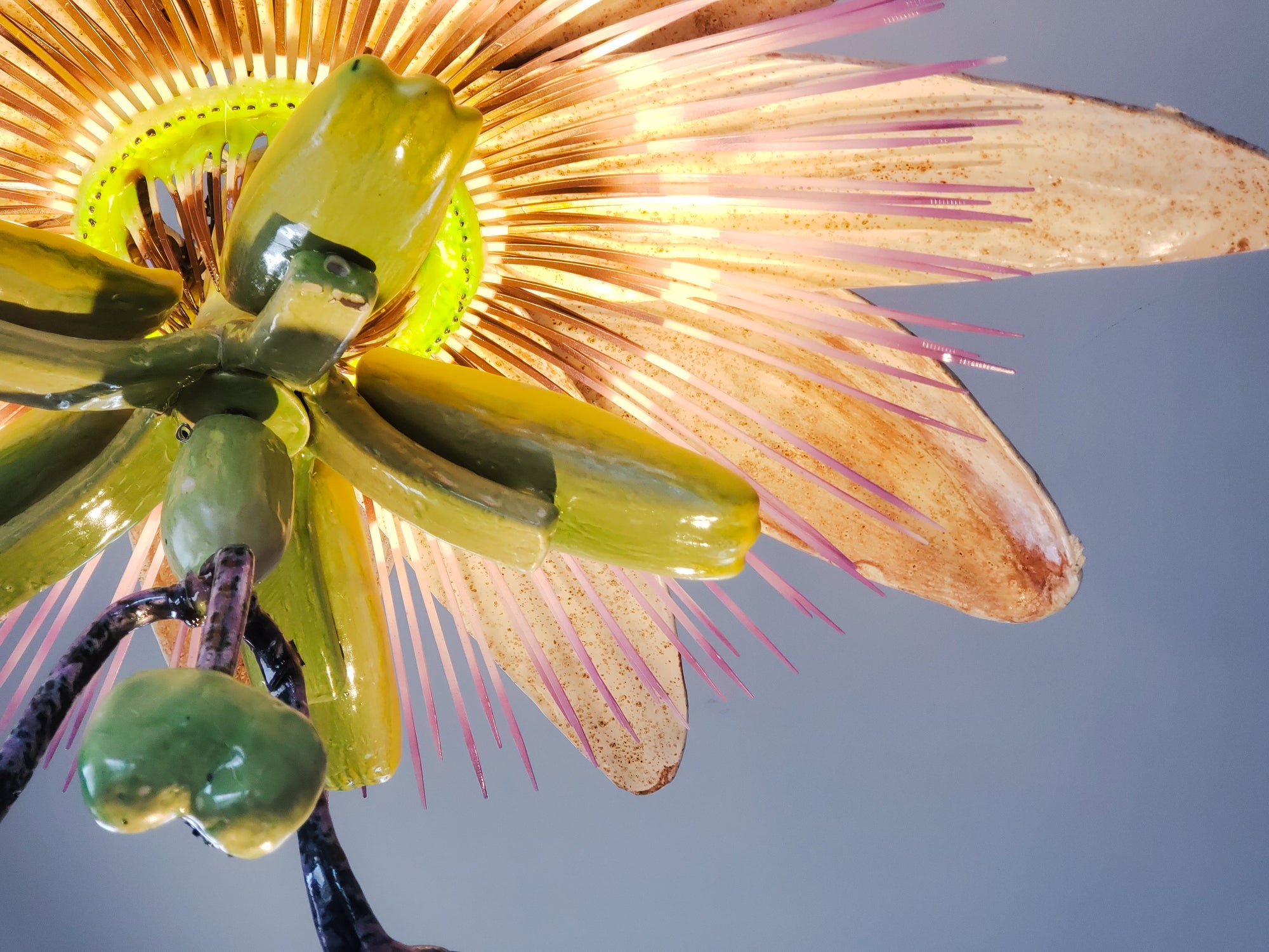 Passiflora Chandelier